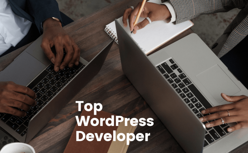 Top WordPress Developer in California